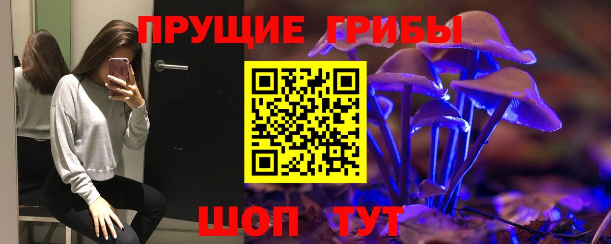 Псилоцибиновые грибы GOLDEN TEACHER  Вход с VPN  Томск 